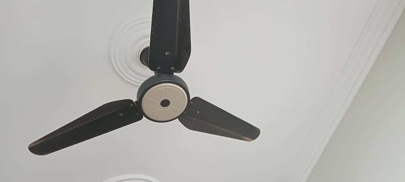 SK fan magnum model 1