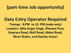 Data Entry Operator / Assistant