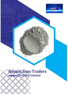 Fly Ash 03018080219