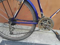 cycle for sale