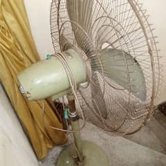 fan