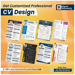 international standards Cv creation service job & linkedin premium