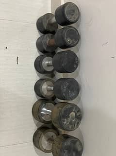 bench press and barbell anddd dumbells