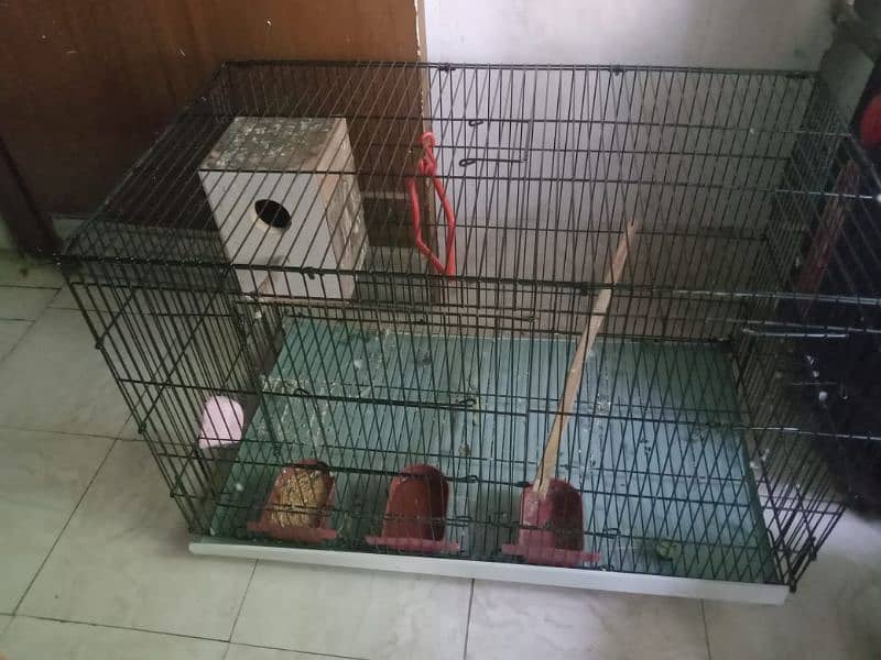 Fisher pair with cage 1