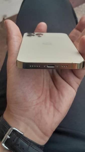 Iphone 12 Pro Golden, 128 GB 3