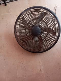 fan