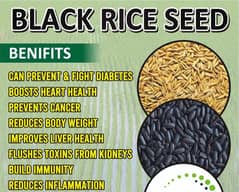 Black Rice/Forbidden Rice available first time in Pakistan