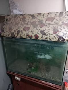 Fish Aquarium complete Setup