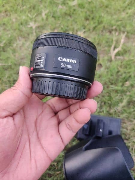 canon M50 Mirrorless 4