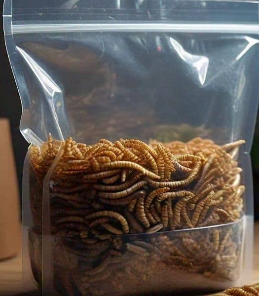 "Bird Food - Live Mealworm Larva for Sale" 1