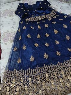 blue gold lehnga with  net cane