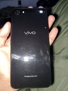 vivo