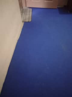 Carpet for sale