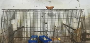 Bird Iron Cage 1.5 x 3