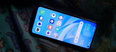 vivov17