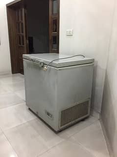 Dawlance Freezer - Medium - Good Condition