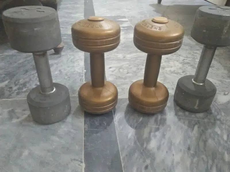 2 dumbbell pairs (17 KG total) 2