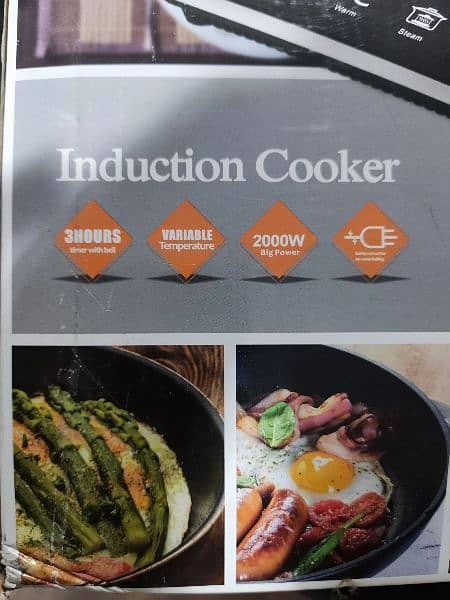 Induction Cooker/Coocktop 6