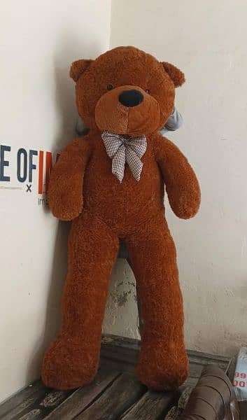 teady bears imported premium quality available 3