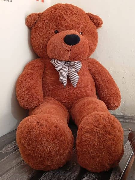 teady bears imported premium quality available 5