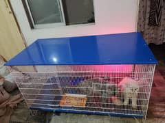 Cat cage