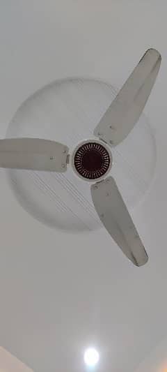 ceiling fan