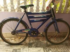 phonix cycle for sale