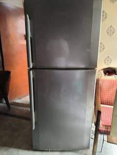 hair large Fridge 0