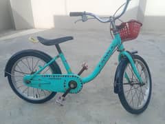 imported bicycle 0