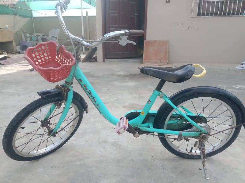 imported bicycle 2