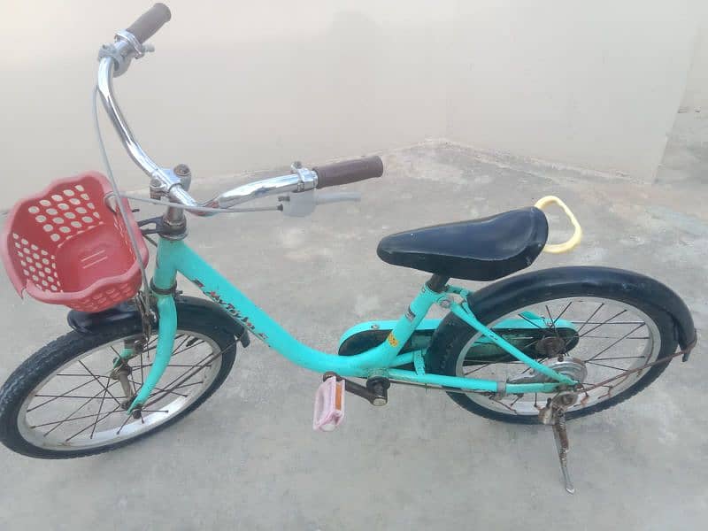 imported bicycle 5