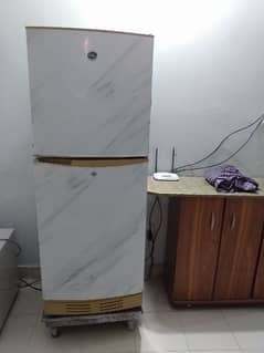 pel fridge running condition perfect cooling hai