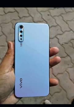 vivo