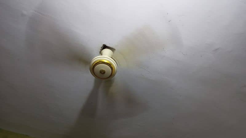 Urgent sale ceiling fan mehmoodabad No2 1