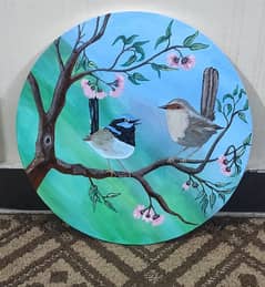 birds
