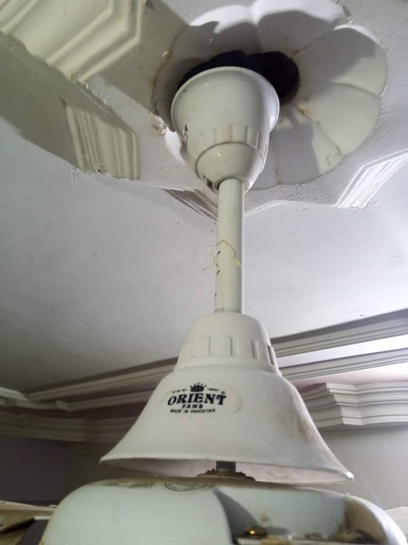 Celling Fan 56" Orient Good Running 2