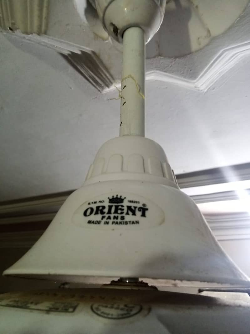 Celling Fan 56" Orient Good Running 3