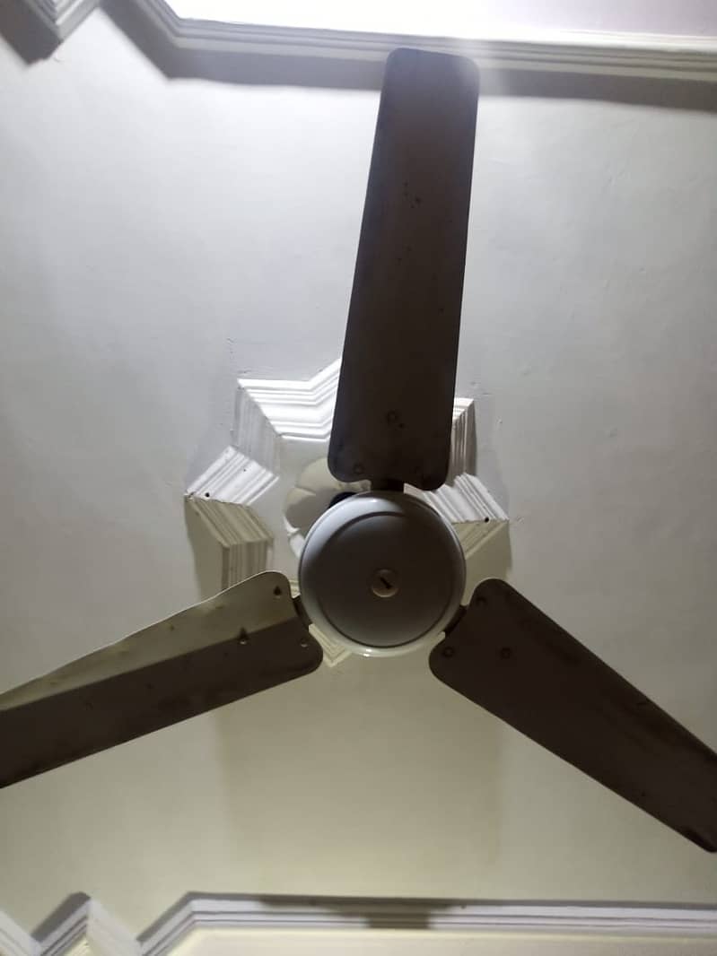 Celling Fan 56" Orient Good Running 4