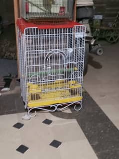 grey parrot cage