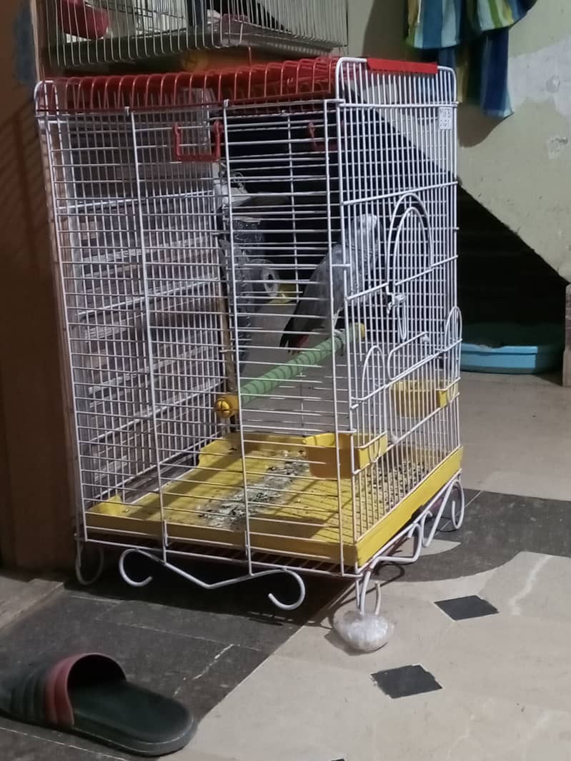 grey parrot cage 1