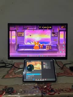 22 inch lcd monitor 0