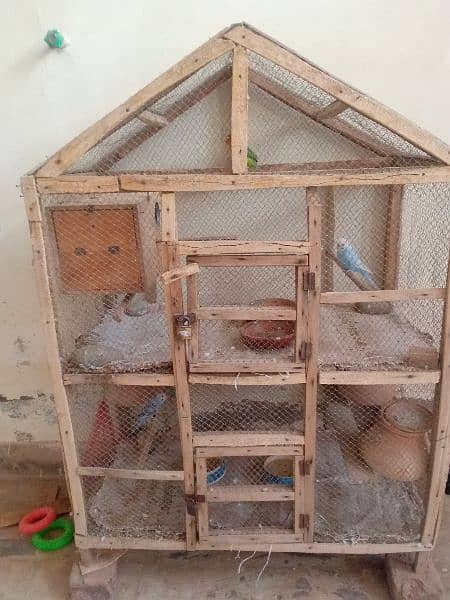 2 buggies pair and lovebird with cage 2