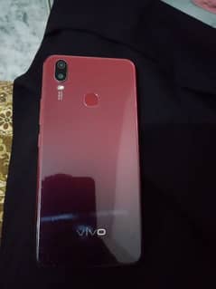 vivo