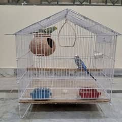 Budgies Breeder pair with cage and accessories