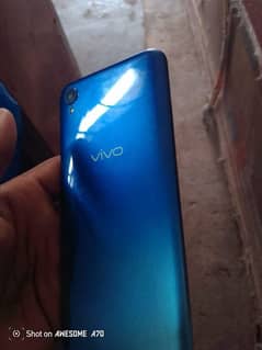 vivo