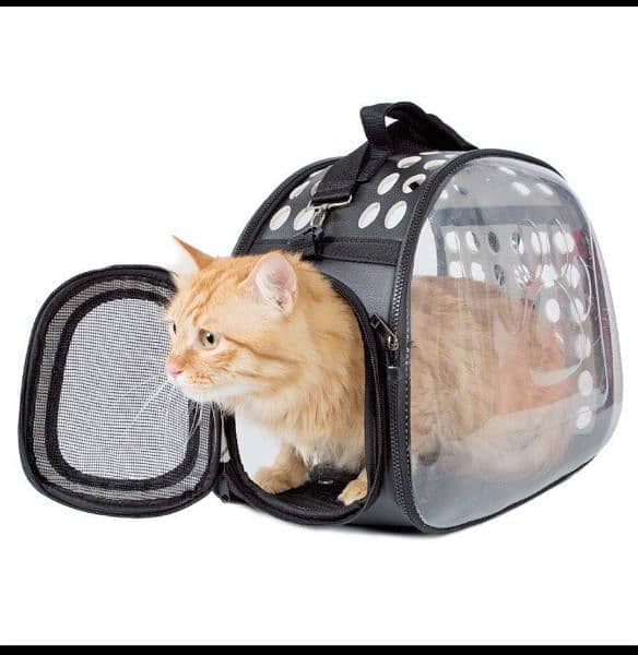 Cat Travel Bag (Large | New) 1