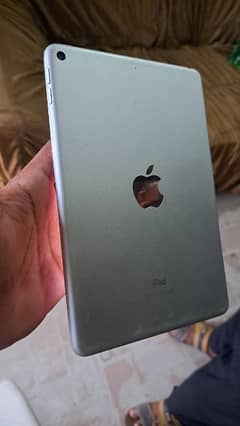 ipad mini 5 ( 256 GB )