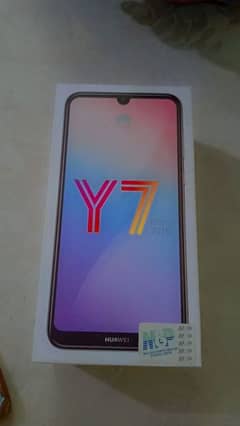 y7