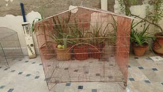 Cages for parrots and hens