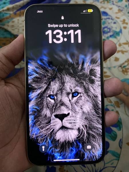 13promax 256Gb Non pta 4month sim working 1